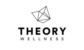 theory theory